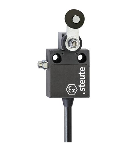 Ex Position switch Ex 12 D 1m IP65 (1CO) II 2G Ex d IIC T6